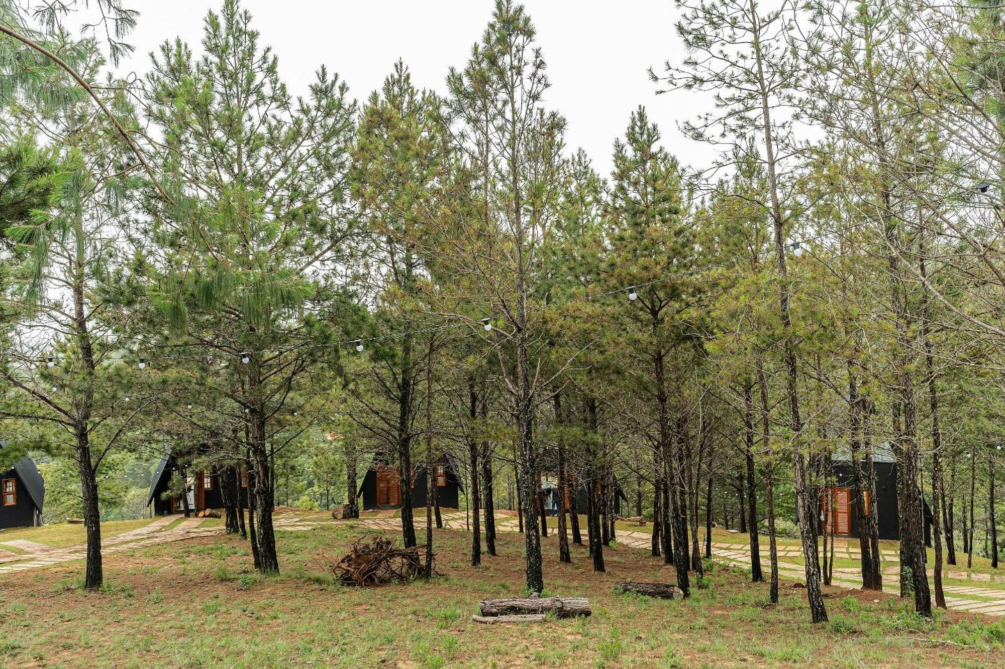 Chales Naturale - Campos Do Jordao - Cna Esterno foto